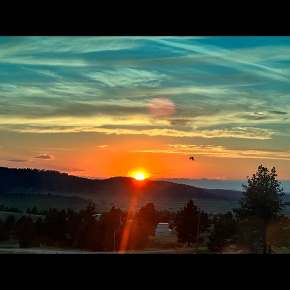 Meet your Posher, Dee - Picture 2 of 2